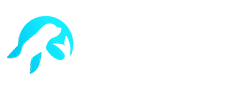 FlipperFlip